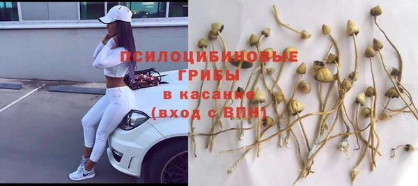 трава Алексин